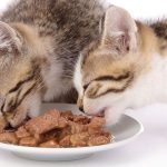 Fancy Feast, Makanan Basah Dengan Campuran Daging dan Sayuran Untuk Kucing