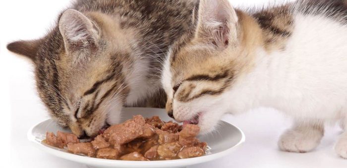Fancy Feast, Makanan Basah Dengan Campuran Daging dan Sayuran Untuk Kucing